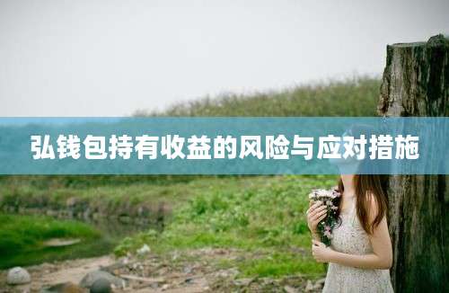 弘钱包持有收益的风险与应对措施