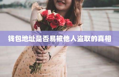 钱包地址是否易被他人盗取的真相