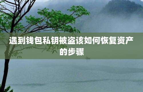 遇到钱包私钥被盗该如何恢复资产的步骤