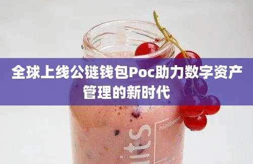 全球上线公链钱包Poc助力数字资产管理的新时代