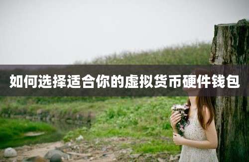 如何选择适合你的虚拟货币硬件钱包