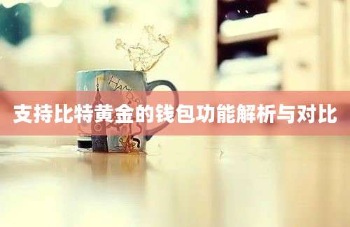支持比特黄金的钱包功能解析与对比