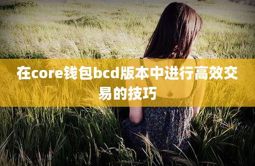 在core钱包bcd版本中进行高效交易的技巧