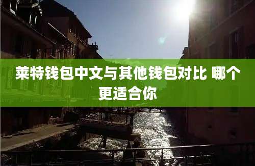 莱特钱包中文与其他钱包对比 哪个更适合你