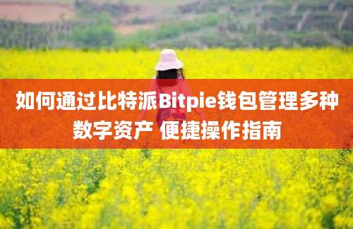 如何通过比特派Bitpie钱包管理多种数字资产 便捷操作指南