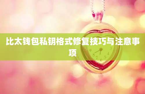 比太钱包私钥格式修复技巧与注意事项