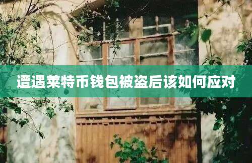 遭遇莱特币钱包被盗后该如何应对