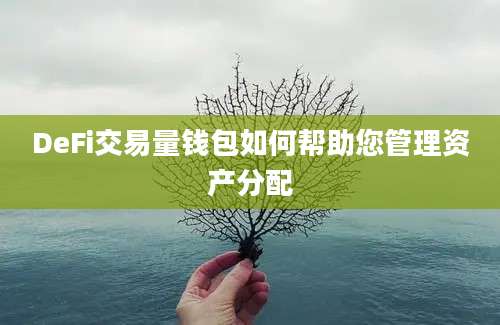 DeFi交易量钱包如何帮助您管理资产分配