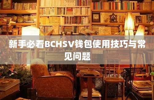 新手必看BCHSV钱包使用技巧与常见问题