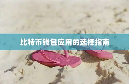 比特币钱包应用的选择指南