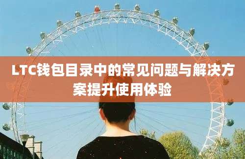 LTC钱包目录中的常见问题与解决方案提升使用体验