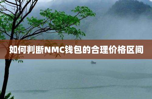 如何判断NMC钱包的合理价格区间