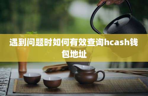 遇到问题时如何有效查询hcash钱包地址