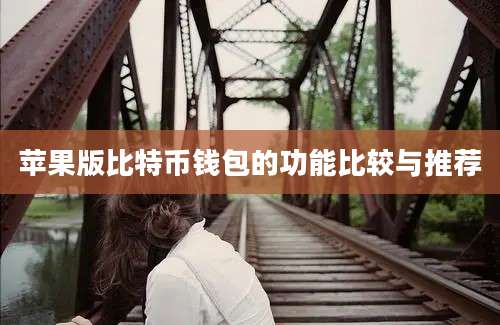 苹果版比特币钱包的功能比较与推荐
