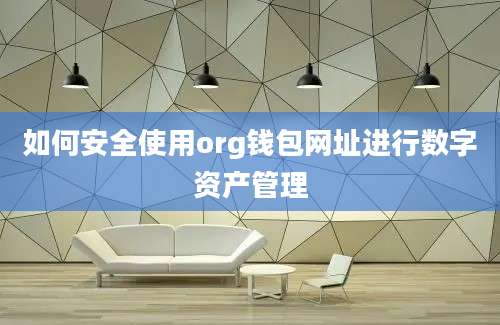 如何安全使用org钱包网址进行数字资产管理