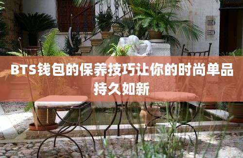 BTS钱包的保养技巧让你的时尚单品持久如新