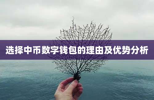 选择中币数字钱包的理由及优势分析