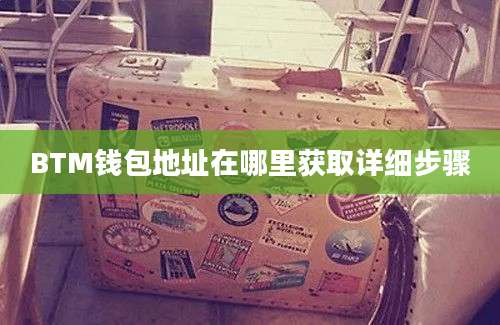 BTM钱包地址在哪里获取详细步骤