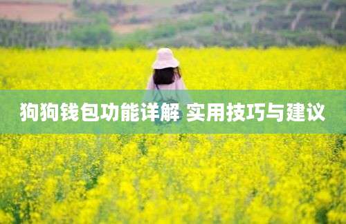 狗狗钱包功能详解 实用技巧与建议