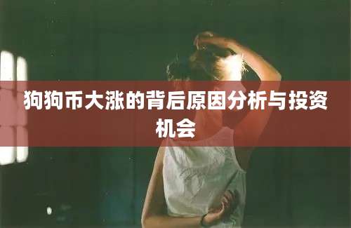 狗狗币大涨的背后原因分析与投资机会