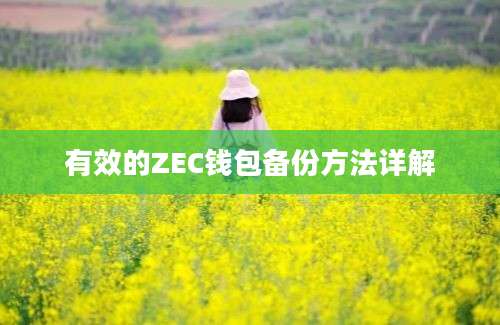 有效的ZEC钱包备份方法详解