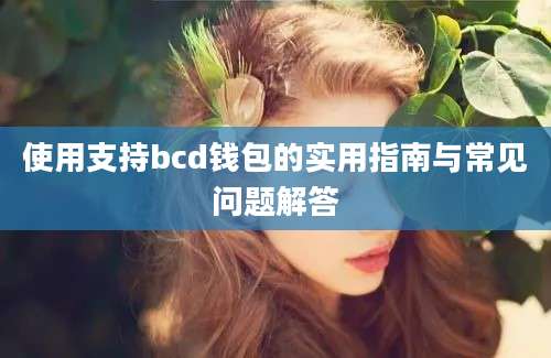 使用支持bcd钱包的实用指南与常见问题解答