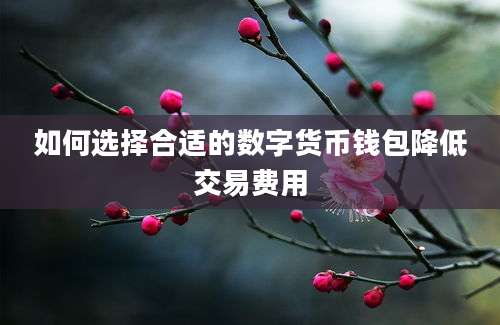 如何选择合适的数字货币钱包降低交易费用