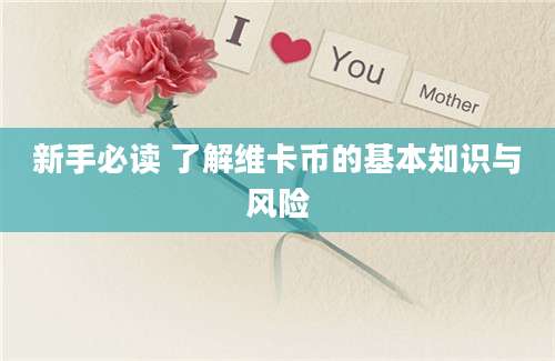 新手必读 了解维卡币的基本知识与风险