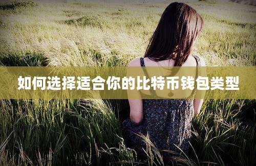 如何选择适合你的比特币钱包类型