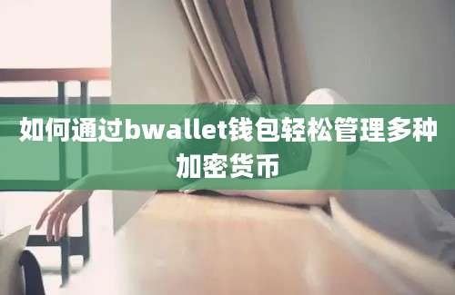 如何通过bwallet钱包轻松管理多种加密货币