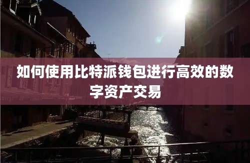 如何使用比特派钱包进行高效的数字资产交易