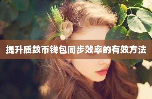 提升质数币钱包同步效率的有效方法