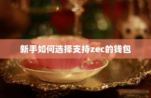 新手如何选择支持zec的钱包