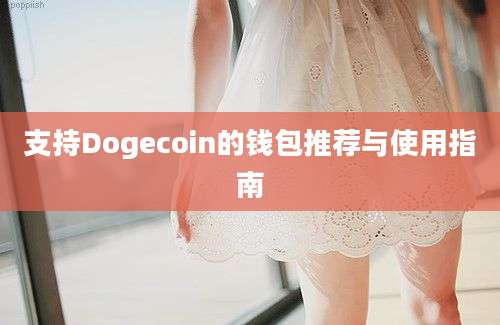 支持Dogecoin的钱包推荐与使用指南