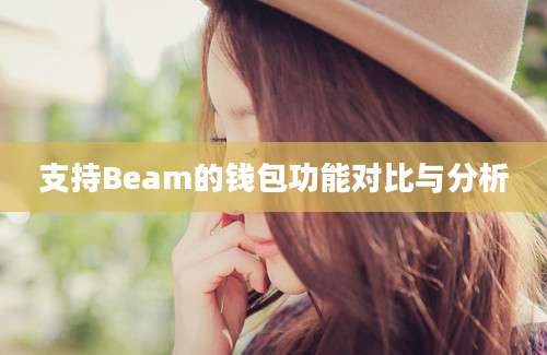 支持Beam的钱包功能对比与分析