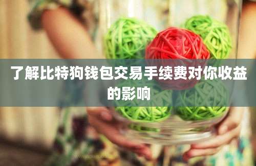 了解比特狗钱包交易手续费对你收益的影响