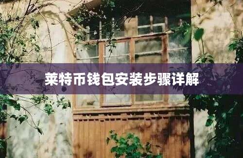 莱特币钱包安装步骤详解