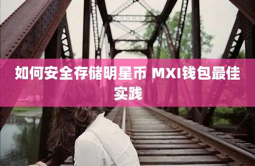 如何安全存储明星币 MXI钱包最佳实践