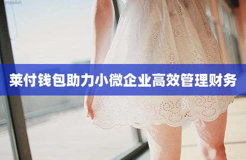 莱付钱包助力小微企业高效管理财务
