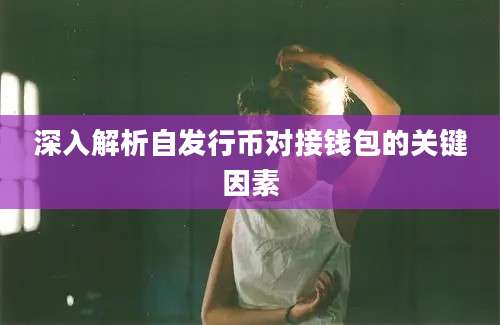 深入解析自发行币对接钱包的关键因素