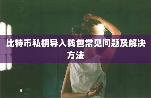 比特币私钥导入钱包常见问题及解决方法