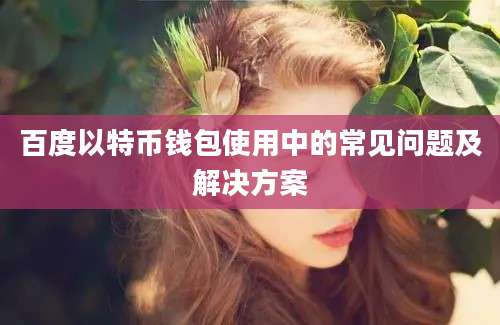 百度以特币钱包使用中的常见问题及解决方案