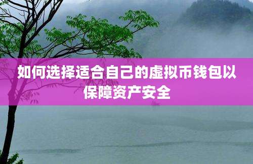如何选择适合自己的虚拟币钱包以保障资产安全