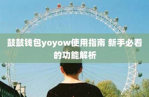 鼓鼓钱包yoyow使用指南 新手必看的功能解析