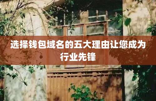 选择钱包域名的五大理由让您成为行业先锋