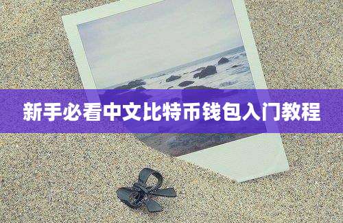 新手必看中文比特币钱包入门教程