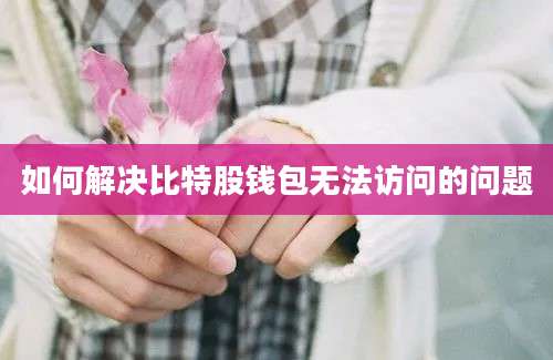 如何解决比特股钱包无法访问的问题