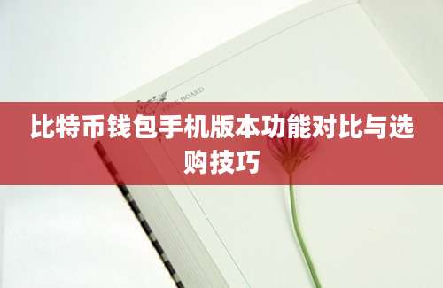 比特币钱包手机版本功能对比与选购技巧