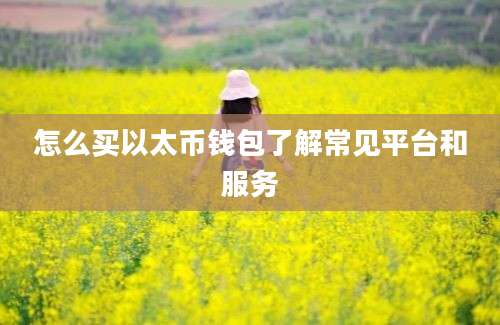 怎么买以太币钱包了解常见平台和服务