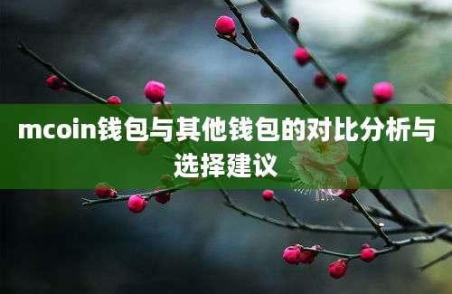 mcoin钱包与其他钱包的对比分析与选择建议